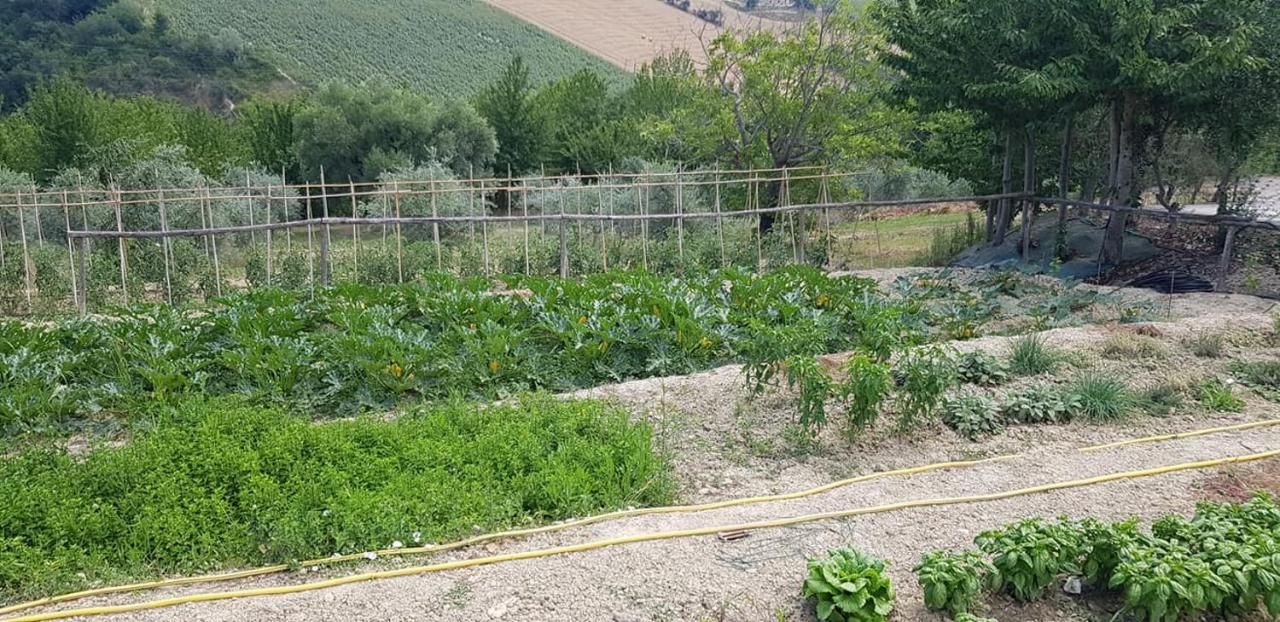 Agriturismo Fiore Di Campo Fermo Eksteriør billede